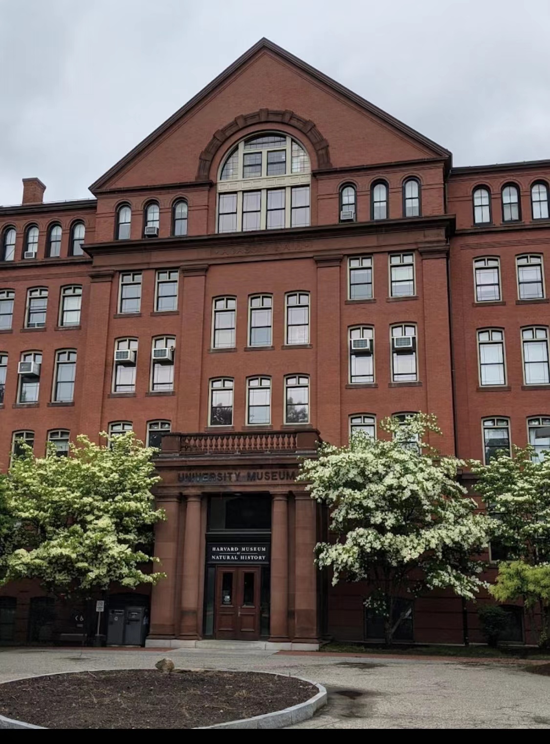哈佛大学图书馆.jpg